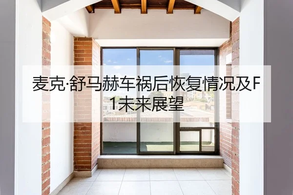 麦克·舒马赫车祸后恢复情况及F1未来展望