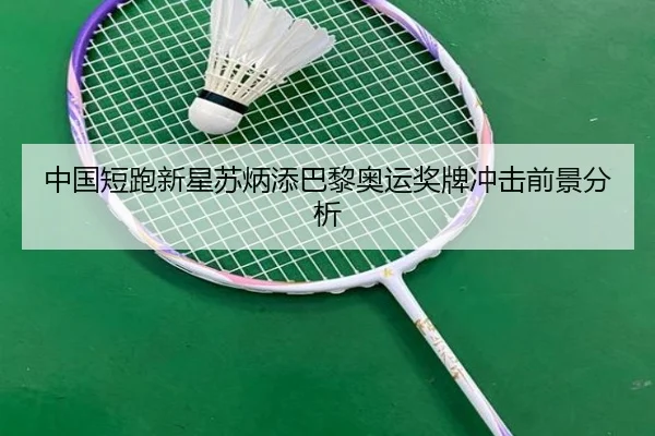 zhong-guo-duan-pao-xin-xing-su-bing-tian-ba-li-ao-yun-jiang-pai-chong-ji-qian-jing-fen-xi-1-337.jpg